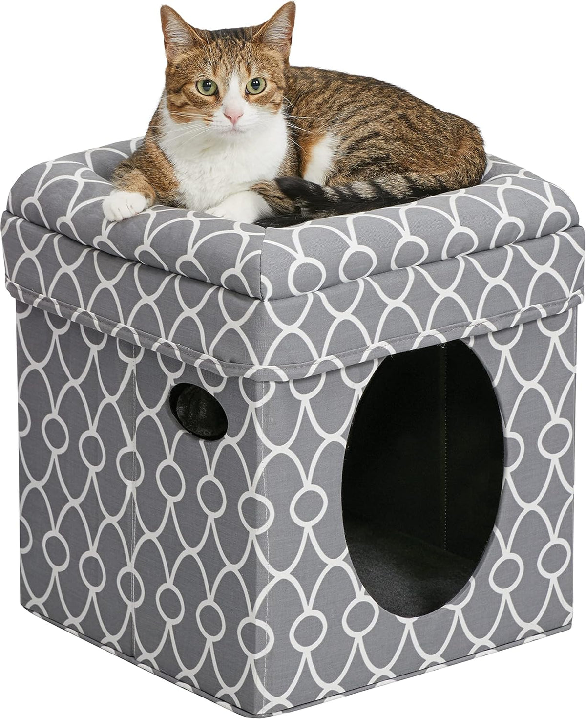 Midwest Feline Nuvo Curious Cat Cube, Foldable Hideout with Bolstered Bed