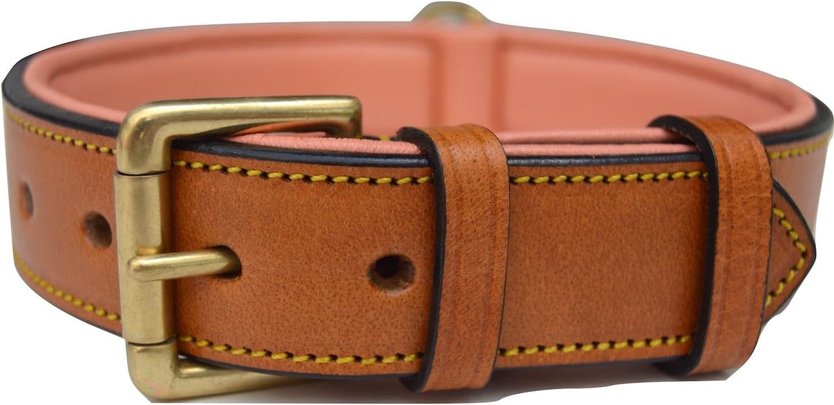 Padded Leather Dog Collar, Genuine Leather, Large