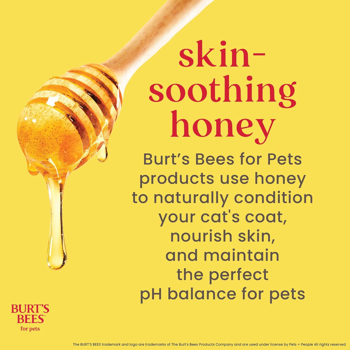 Tearless Kitten Shampoo with Buttermilk & Honey