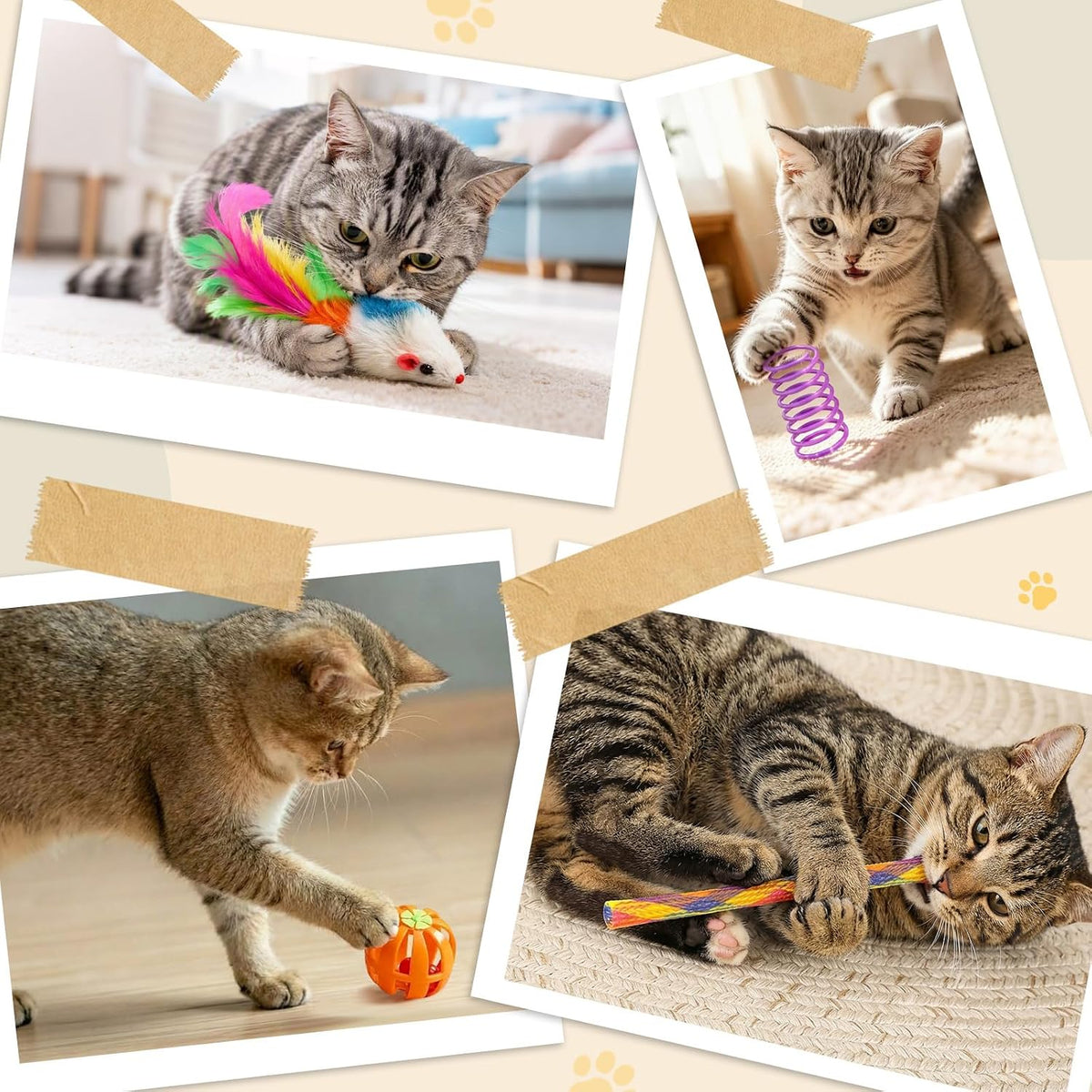 25-Piece Interactive Cat Toy Variety Pack with Rainbow Tunnel
