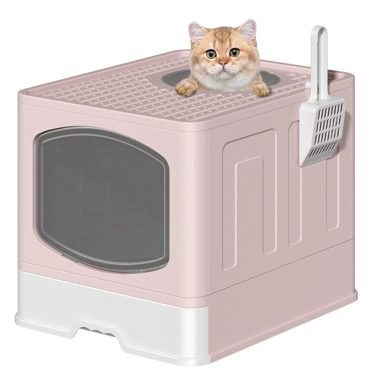 Cshidworld Large Foldable Cat Litter Box with Scoop, Front Entry Top Exit