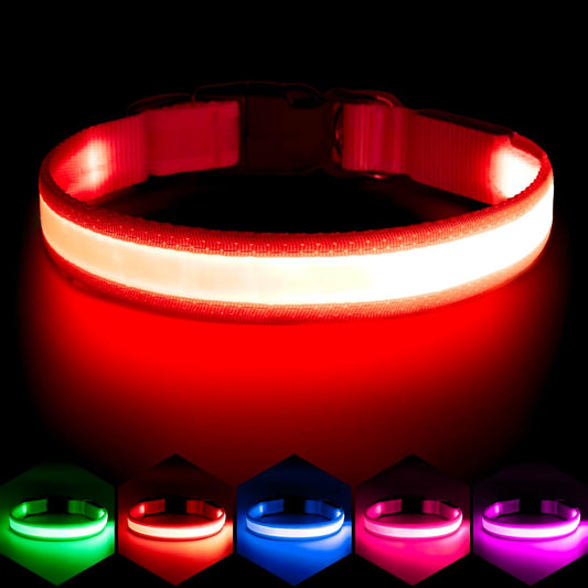 LED Dog Collar, Light up Dog Collar Adjustable USB Rechargeable