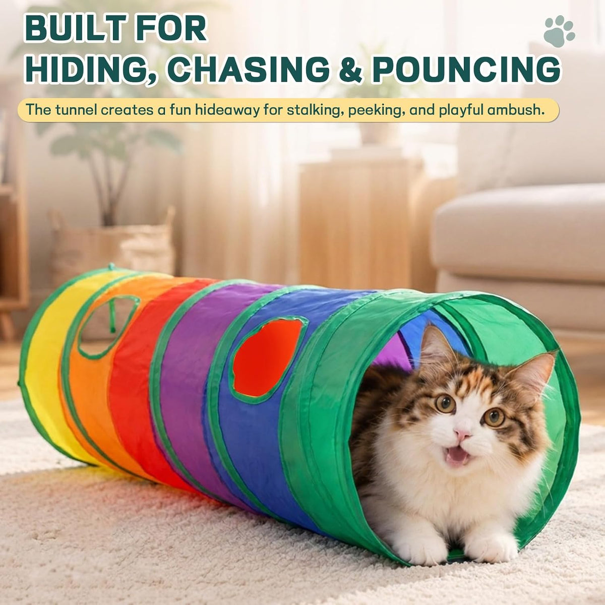 25-Piece Interactive Cat Toy Variety Pack with Rainbow Tunnel