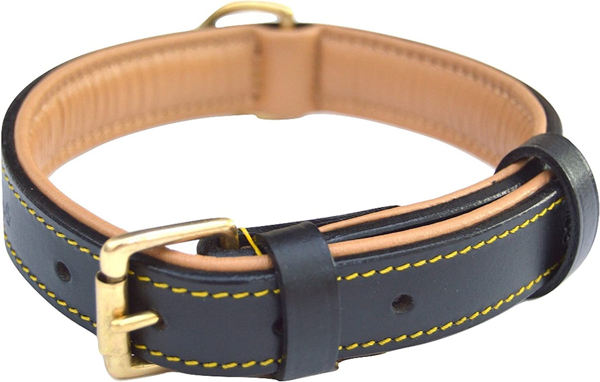 Padded Leather Dog Collar, Genuine Leather, Large