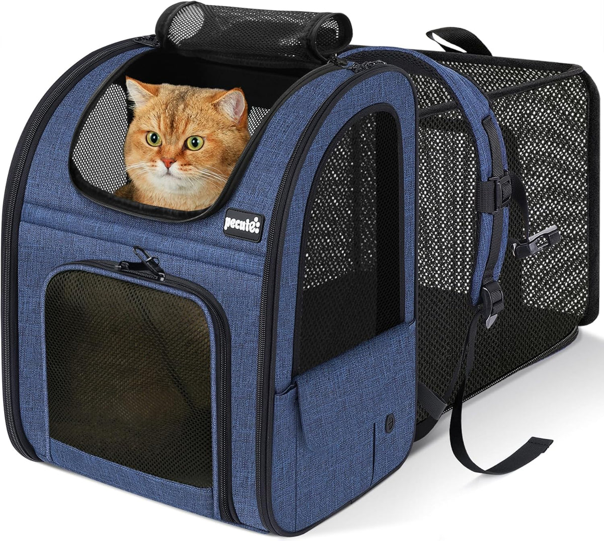 Expandable Cat Backpack Carrier with Breathable Window