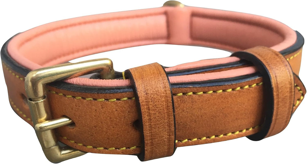 Padded Leather Dog Collar, Genuine Leather, Large