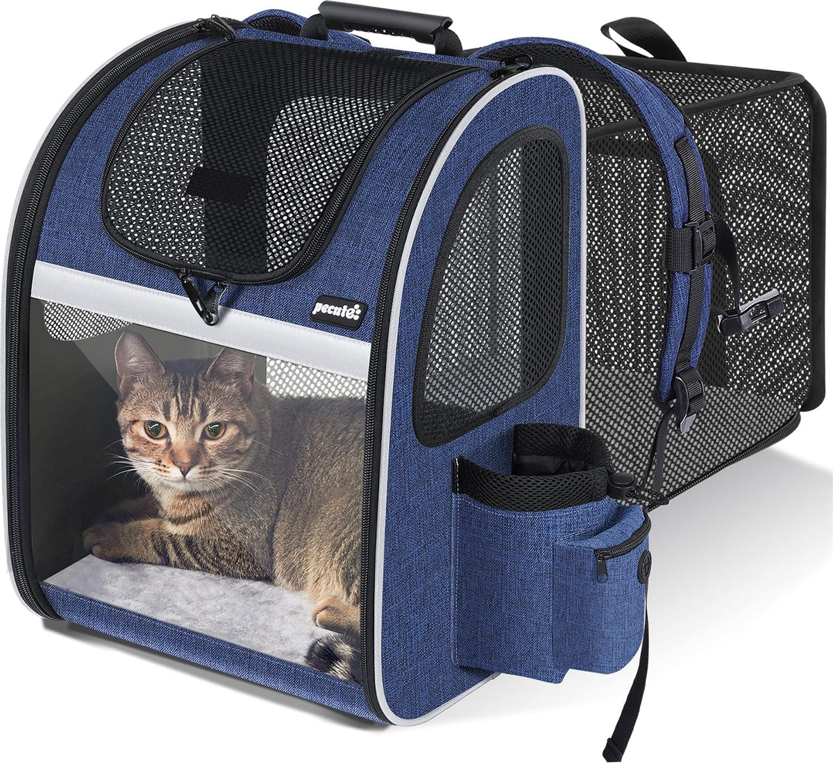 Expandable Cat Backpack Carrier with Breathable Window