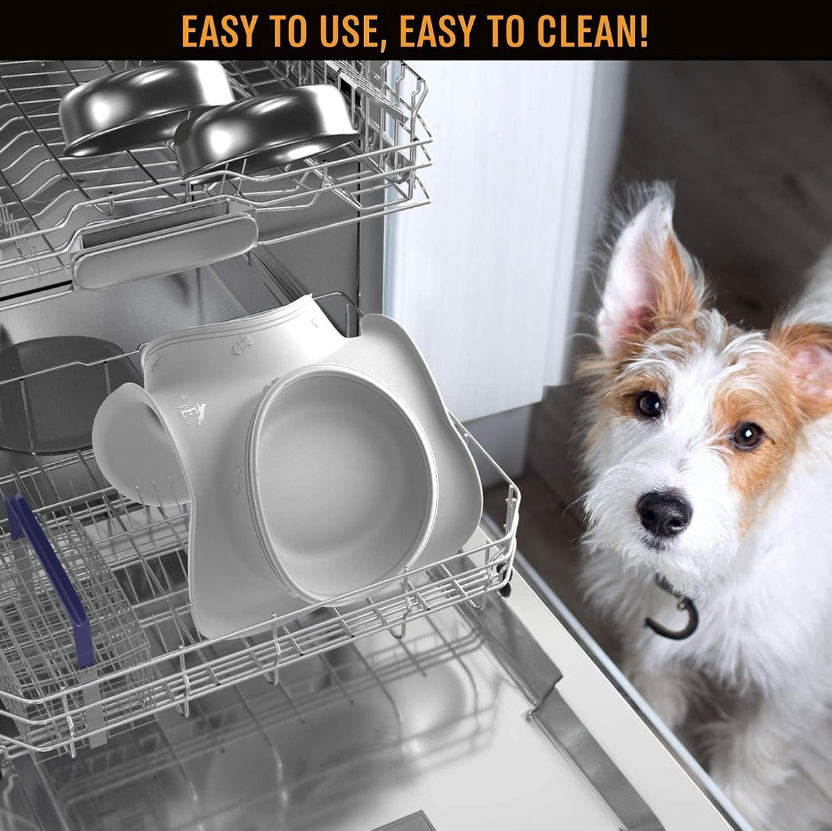 Stainless Steel No-Spill Dog Bowl Set with Silicone Mat