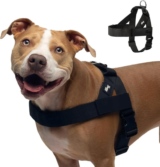 Dog Friendly Co. Walking Harness - Easy-To-Fit No-Pull, Chafe-Resistant Lightweight Adjustable Straps, Simple Clip - Secure Walks, All-Day Wear Comfort for All Dogs