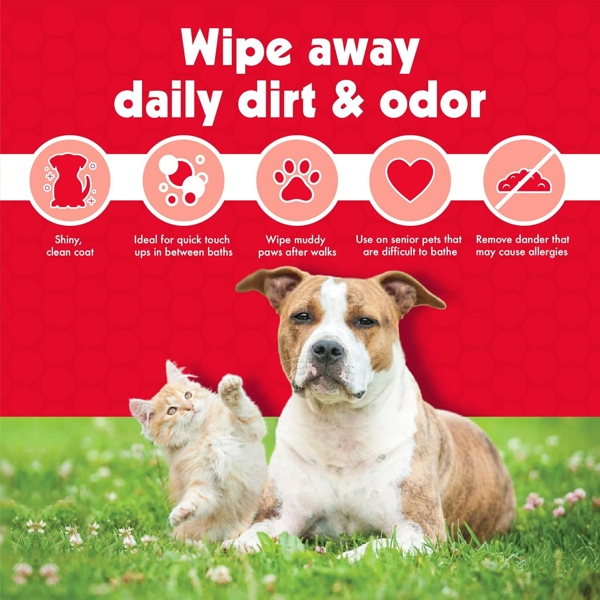 Large Pet Cleaning Wipes for Dogs & Cats, 100-Count