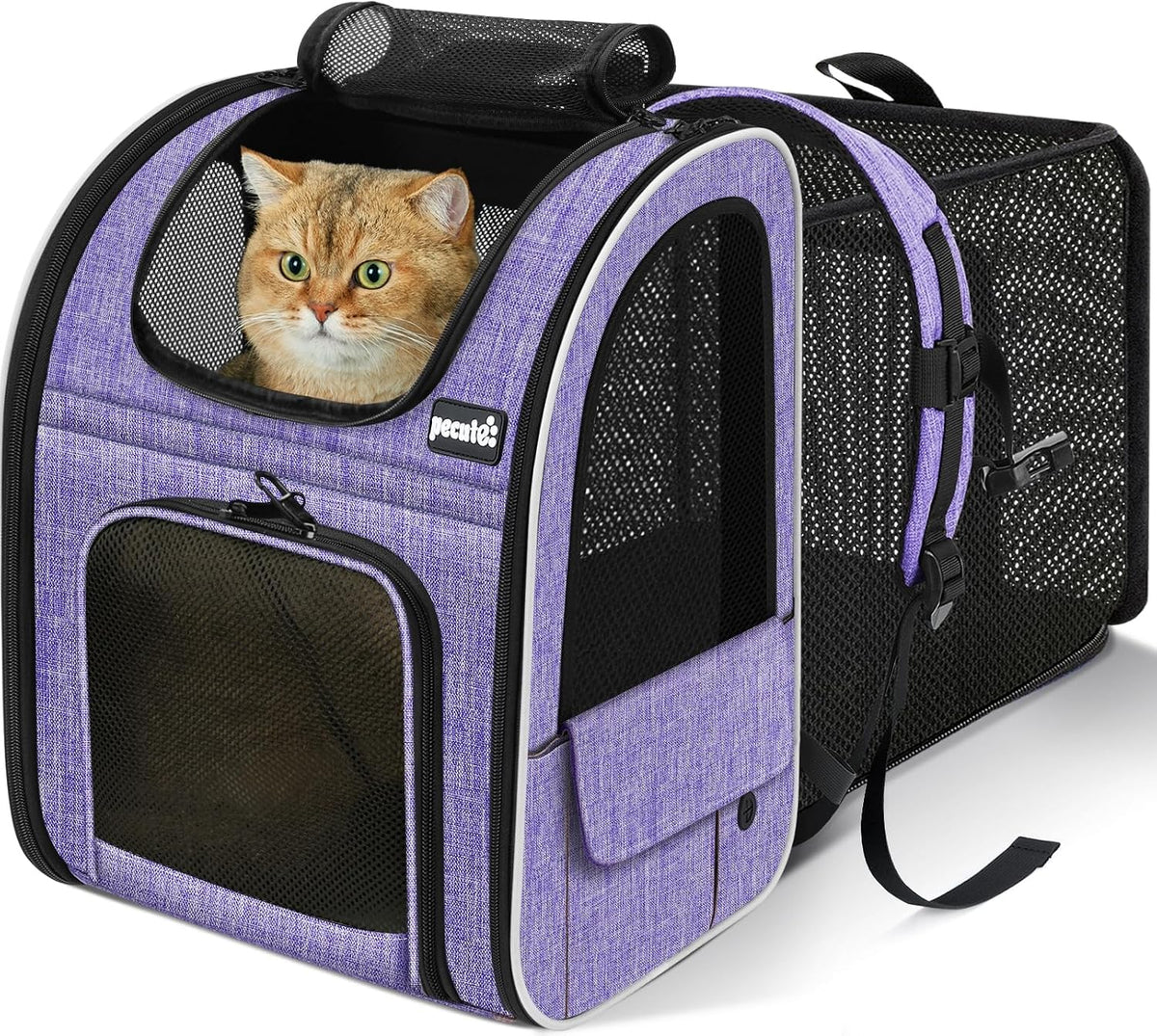 Expandable Cat Backpack Carrier with Breathable Window
