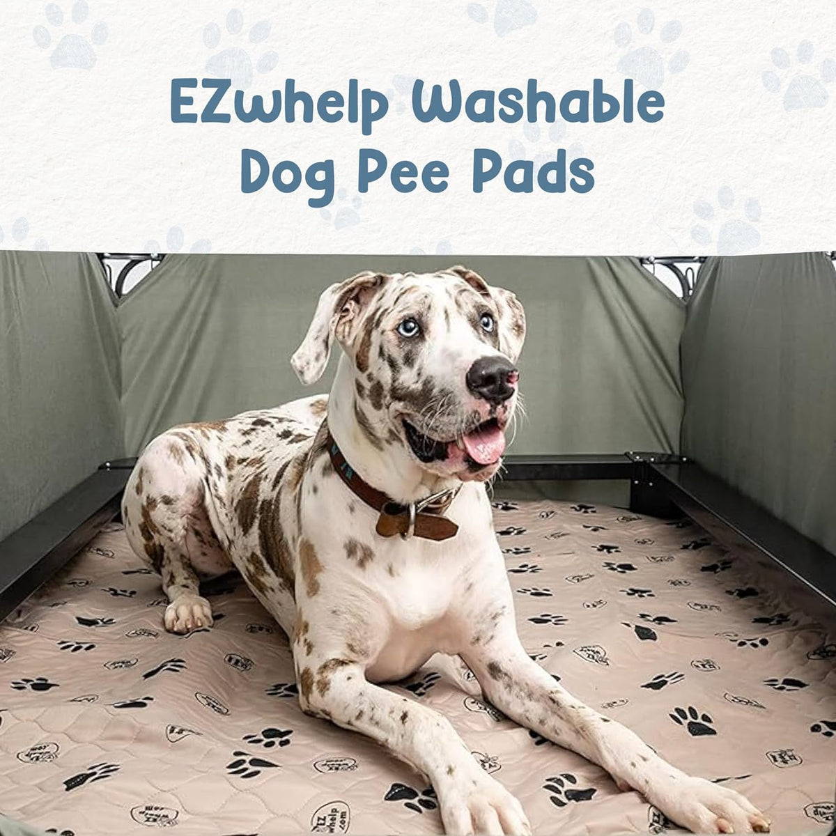 Reusable Washable Dog Pee Pads, 2-Pack