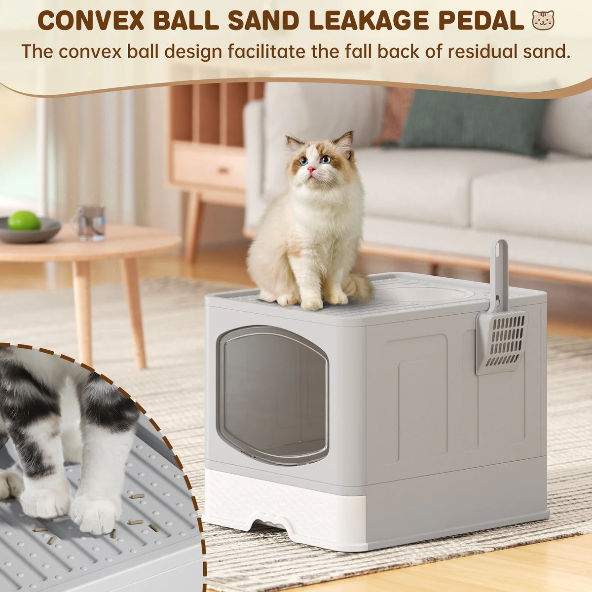 Cshidworld Large Foldable Cat Litter Box with Scoop, Front Entry Top Exit