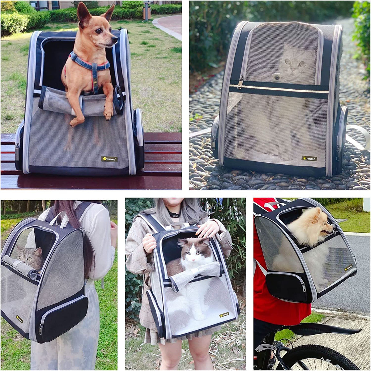 Innovative Traveler Bubble Backpack Pet Carriers for Cats and Dogs