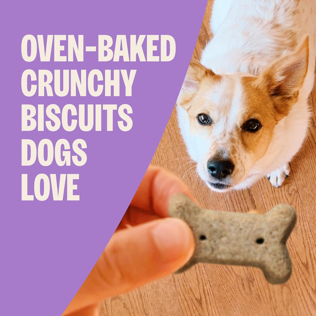 Natural Peanut Butter Dog Training Biscuits, 6 Lb Box