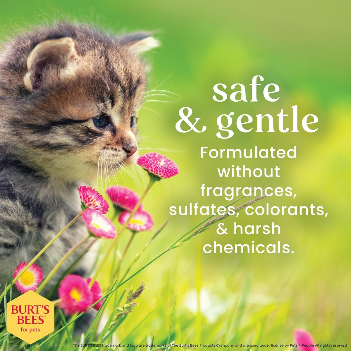 Tearless Kitten Shampoo with Buttermilk & Honey