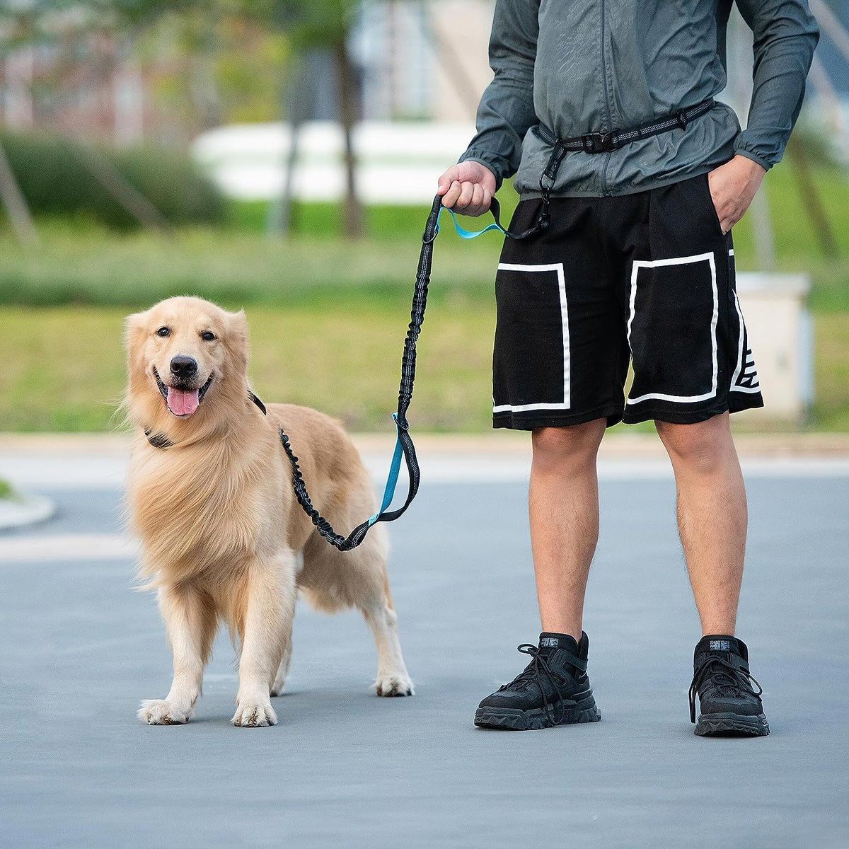 Iyoshop Hands Free Dog Leash with Zipper Pouch, Dual Padded Handles
