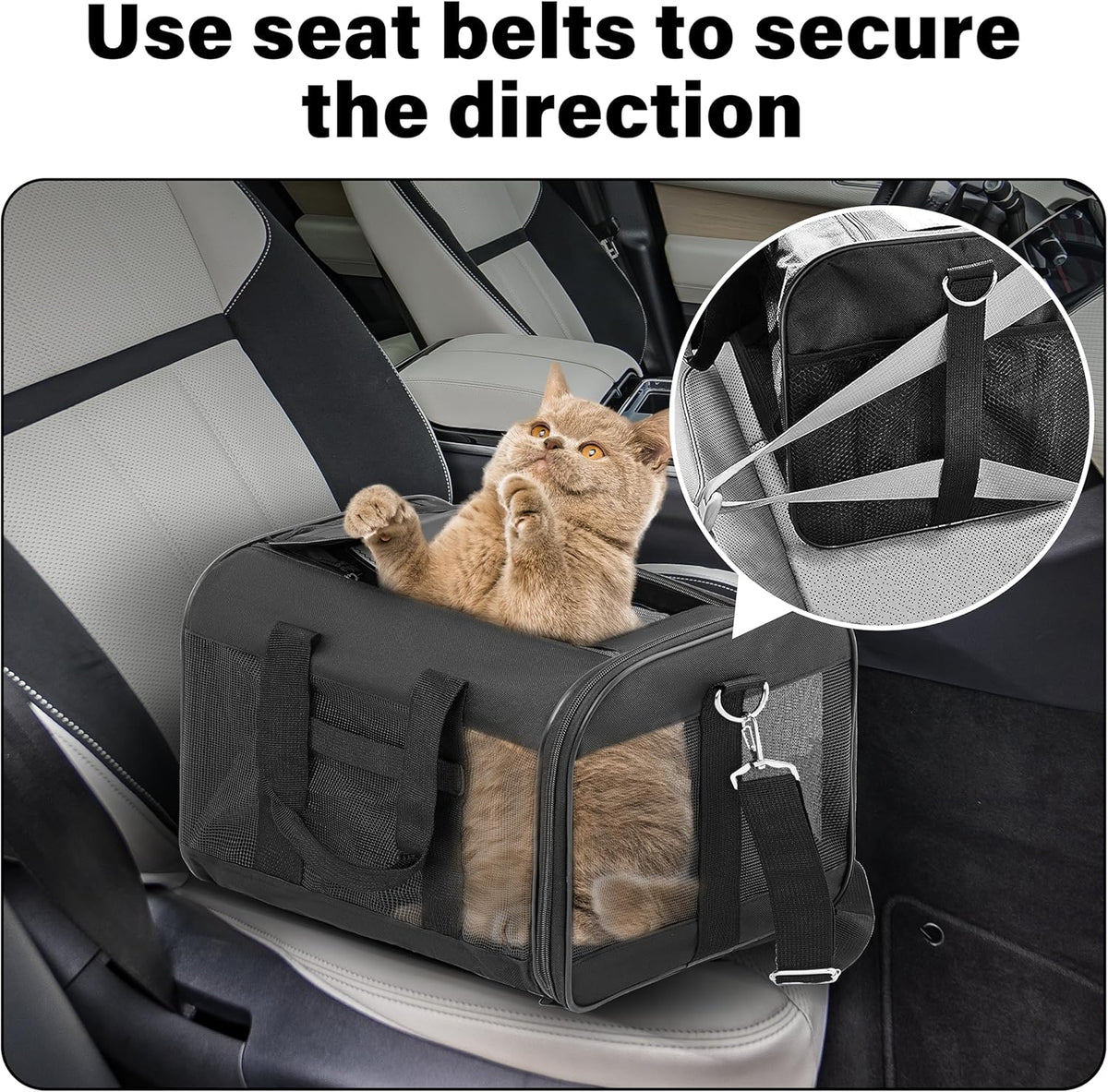 Fluffydream Soft-Sided Pet Travel Carrier, Airline Approved