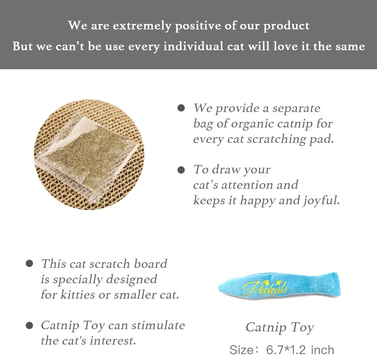 Reversible Cardboard Cat Scratcher Pad with Catnip