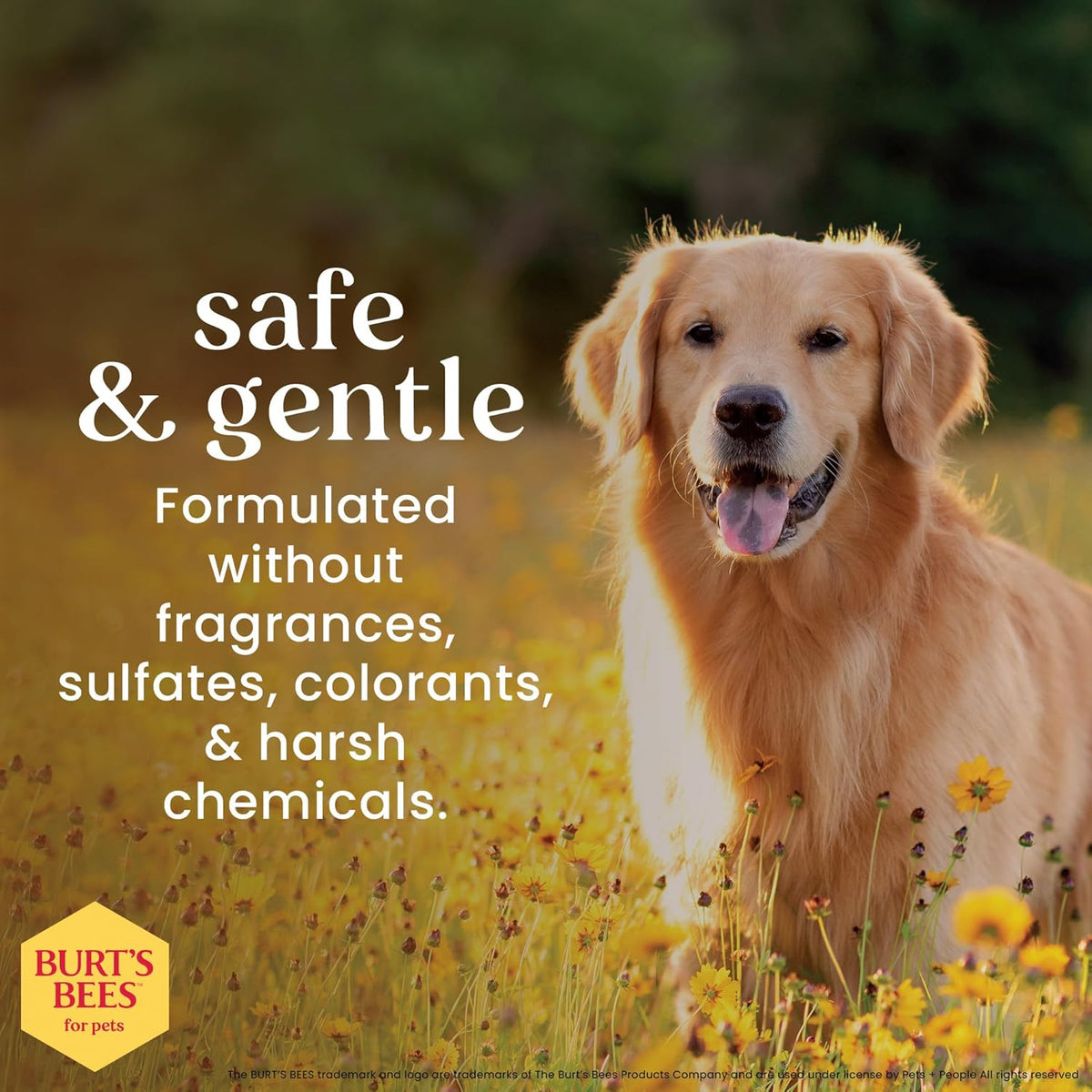 Burt'S Bees Honey Multipurpose Dog Grooming Wipes, 50-Count