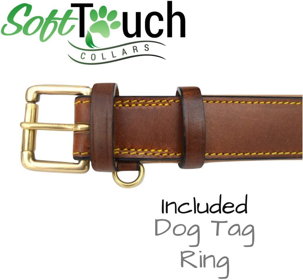 Padded Leather Dog Collar, Genuine Leather, Large