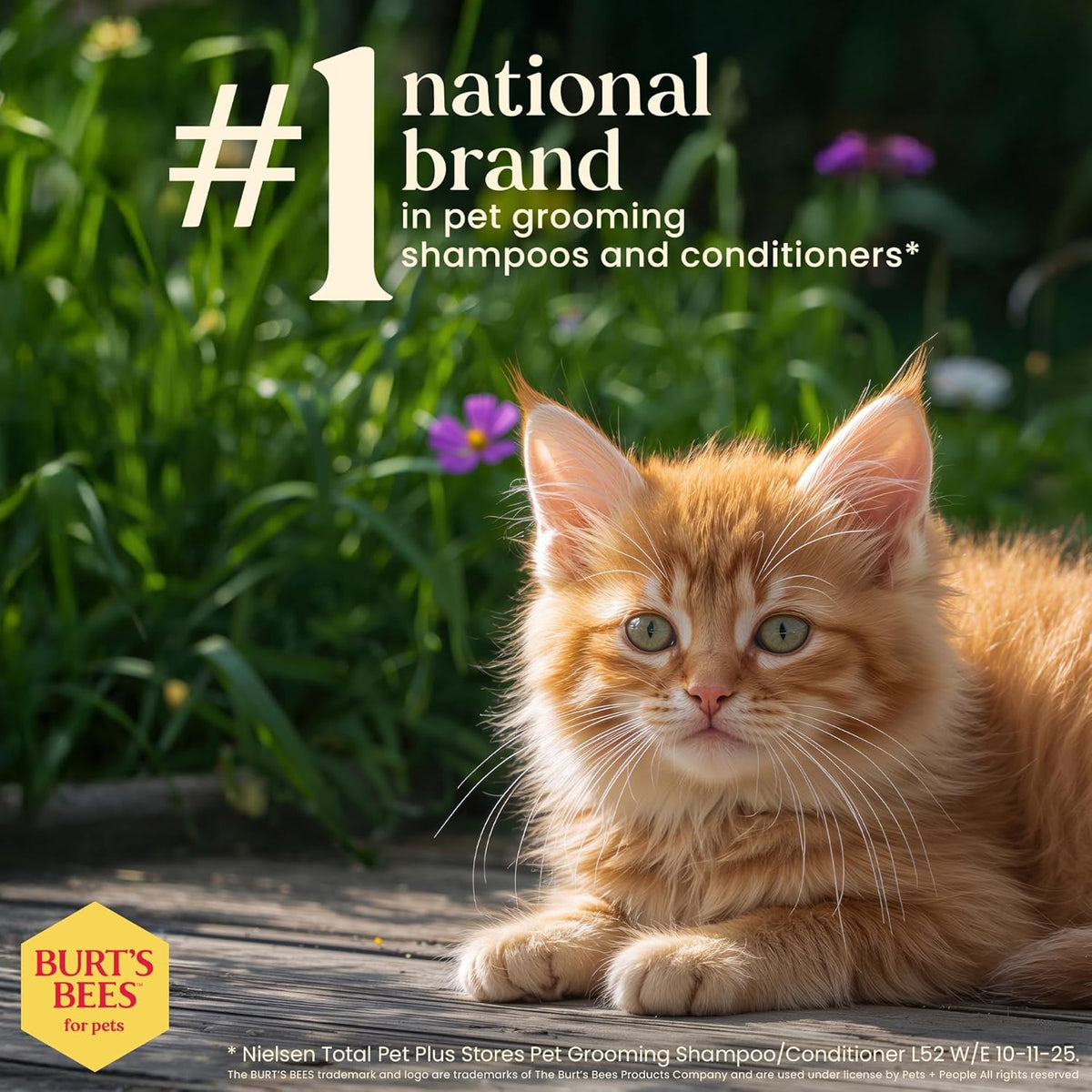Tearless Kitten Shampoo with Buttermilk & Honey
