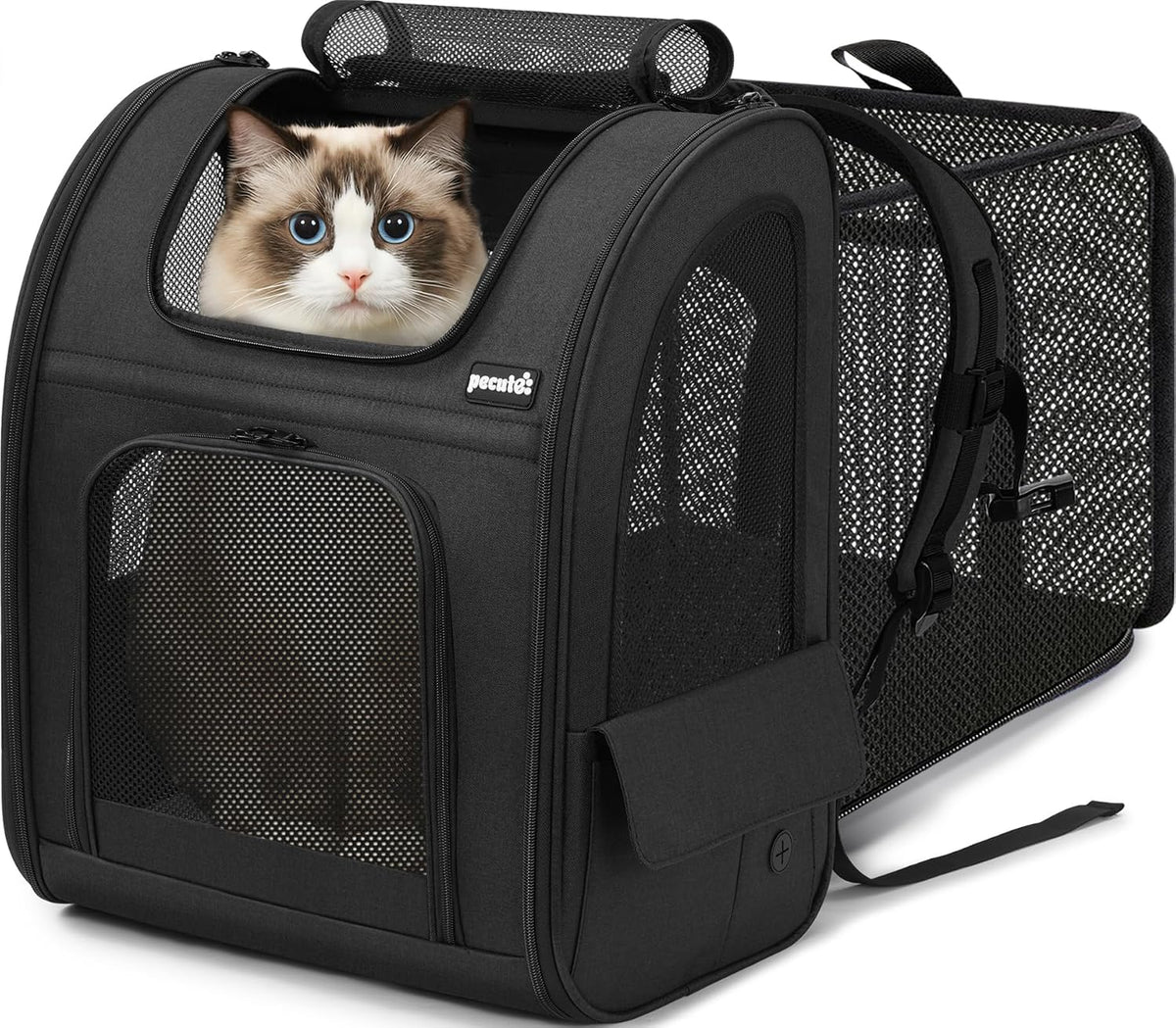 Expandable Cat Backpack Carrier with Breathable Window