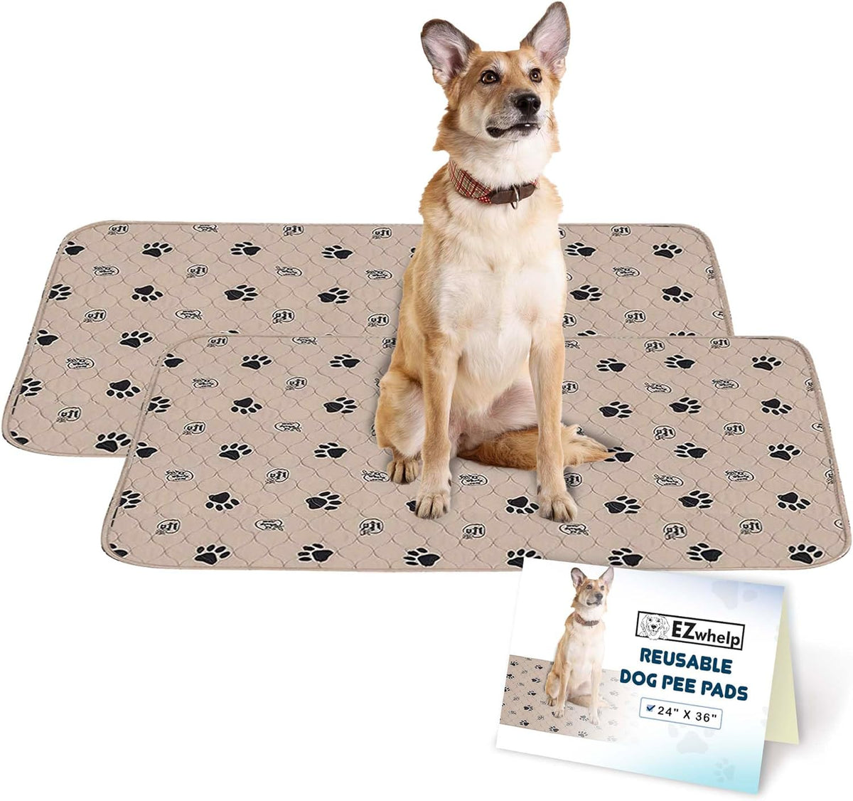 Reusable Washable Dog Pee Pads, 2-Pack