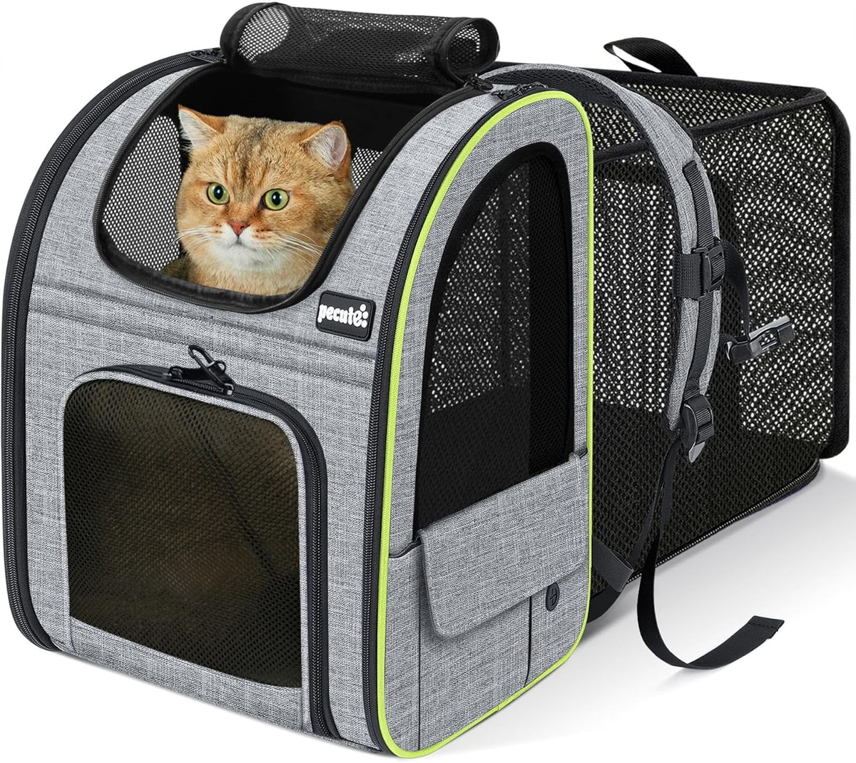 Expandable Cat Backpack Carrier with Breathable Window