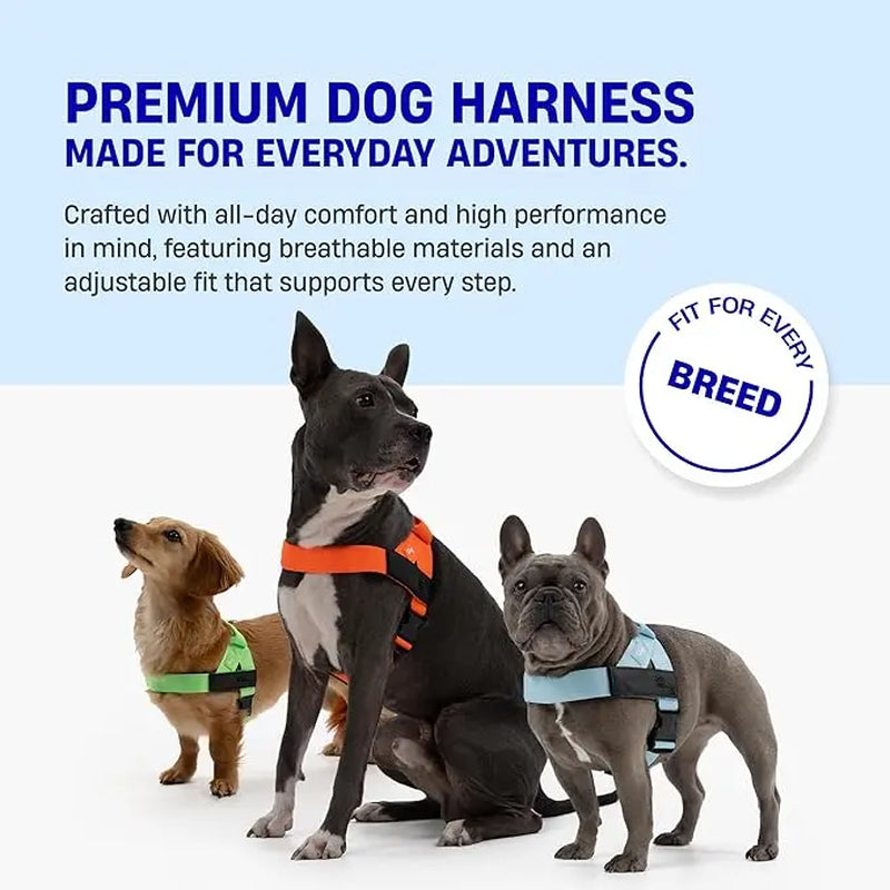 Dog Friendly Co. Walking Harness - Easy-To-Fit No-Pull, Chafe-Resistant Lightweight Adjustable Straps, Simple Clip - Secure Walks, All-Day Wear Comfort for All Dogs