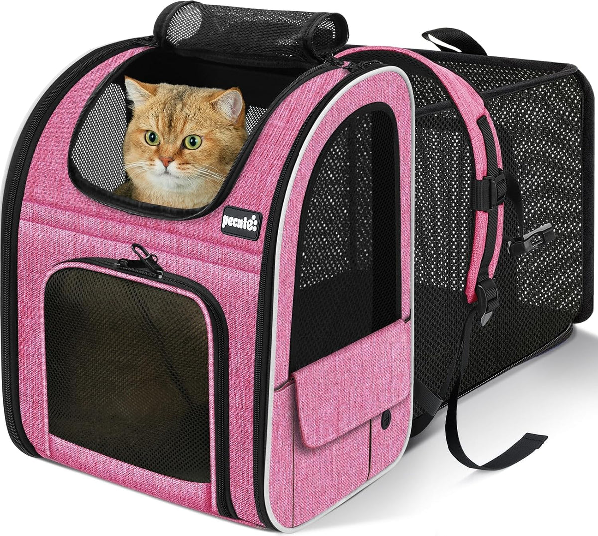 Expandable Cat Backpack Carrier with Breathable Window