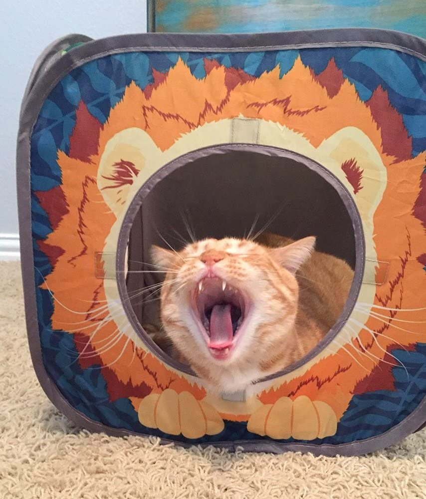 Safari Jungle Cat Play Set, Collapsible Pop-Up Cat Toys Combo