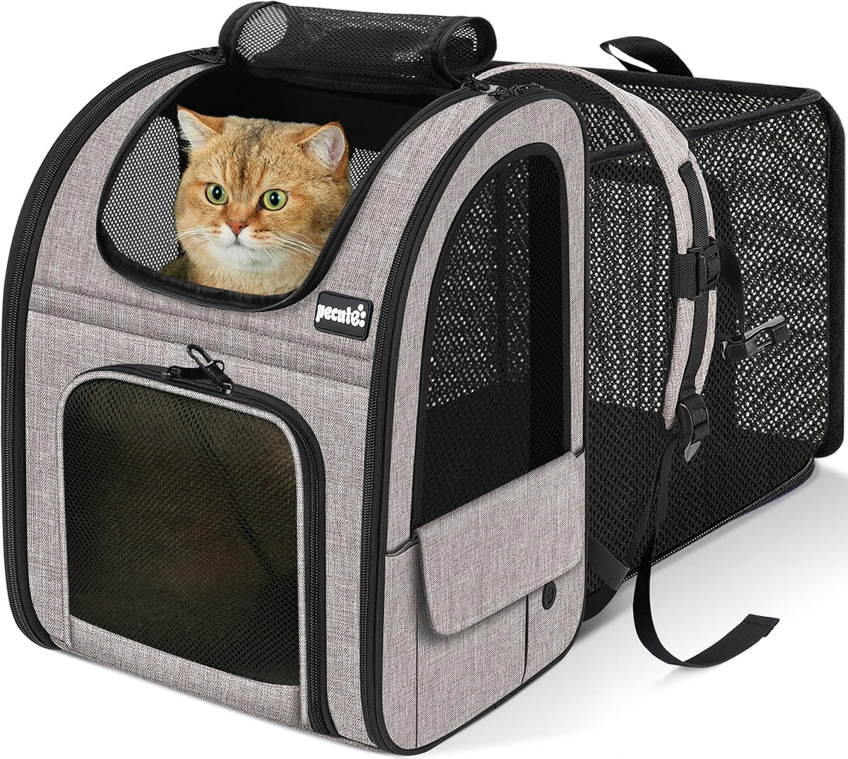 Expandable Cat Backpack Carrier with Breathable Window