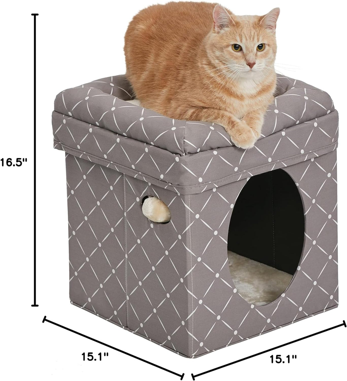 Midwest Feline Nuvo Curious Cat Cube, Foldable Hideout with Bolstered Bed