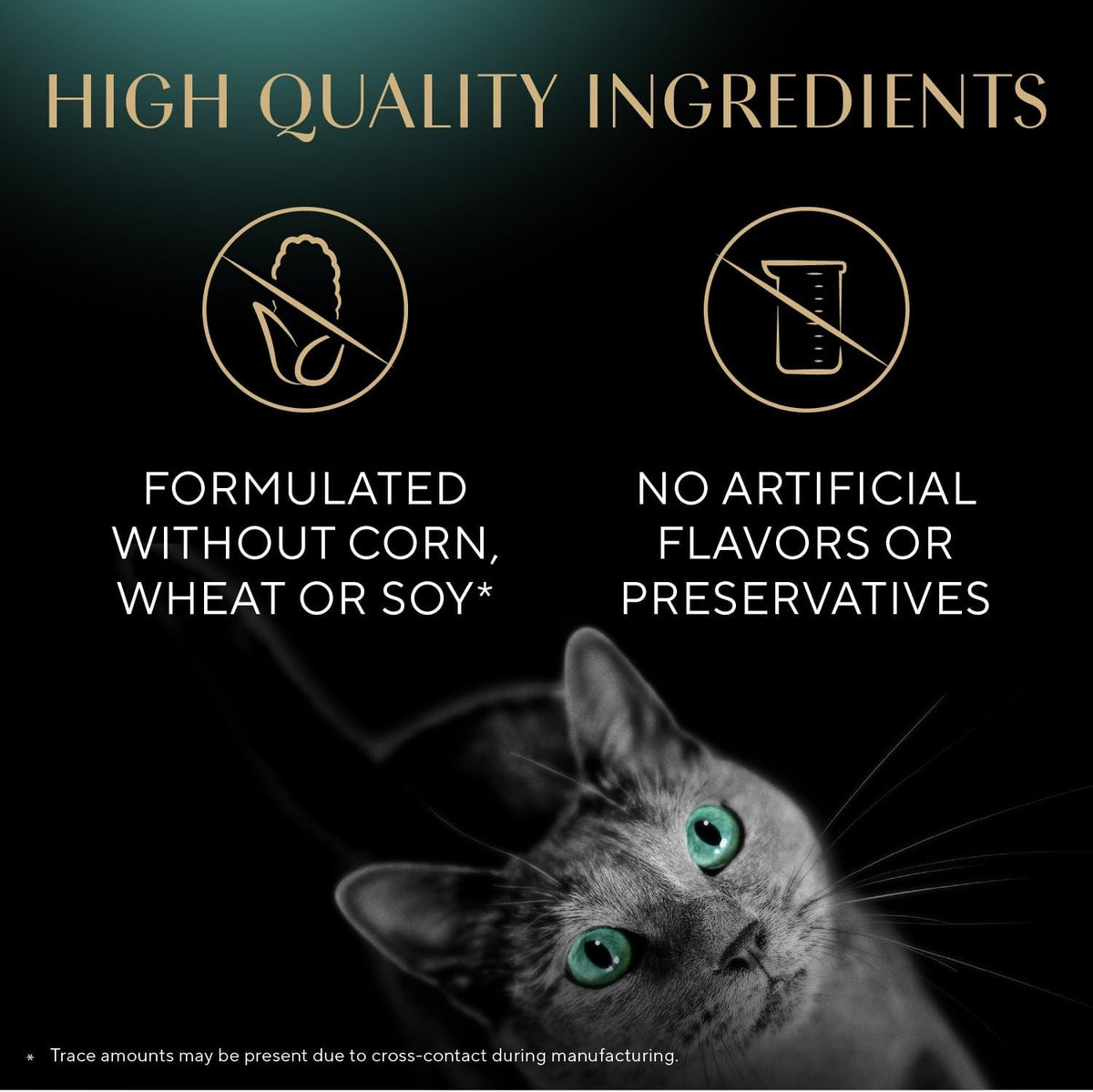 Meaty Tender Stick Cat Treats, Salmon Flavor, 50-Count