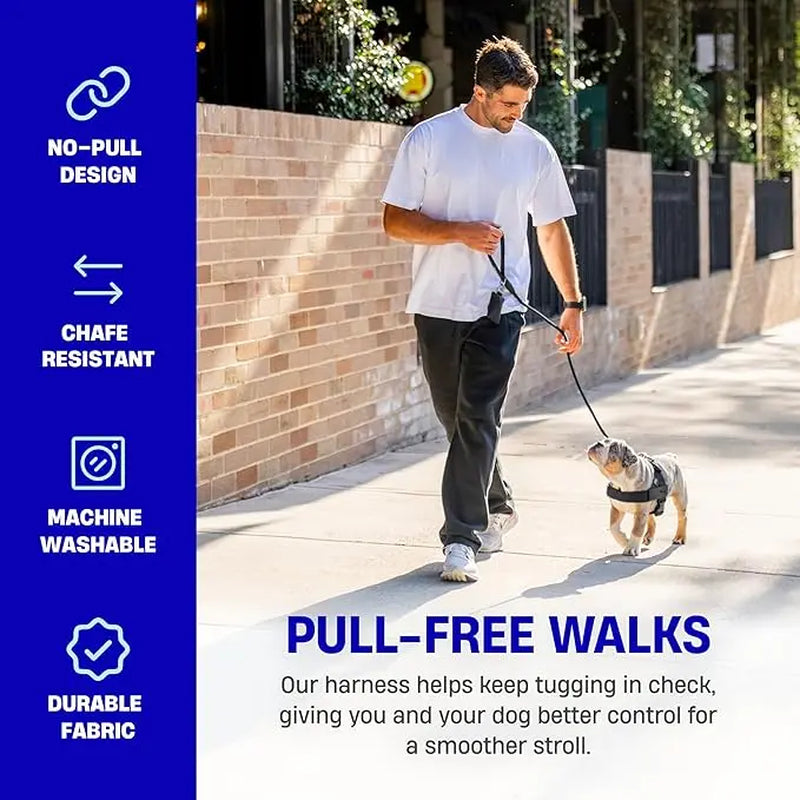 Dog Friendly Co. Walking Harness - Easy-To-Fit No-Pull, Chafe-Resistant Lightweight Adjustable Straps, Simple Clip - Secure Walks, All-Day Wear Comfort for All Dogs