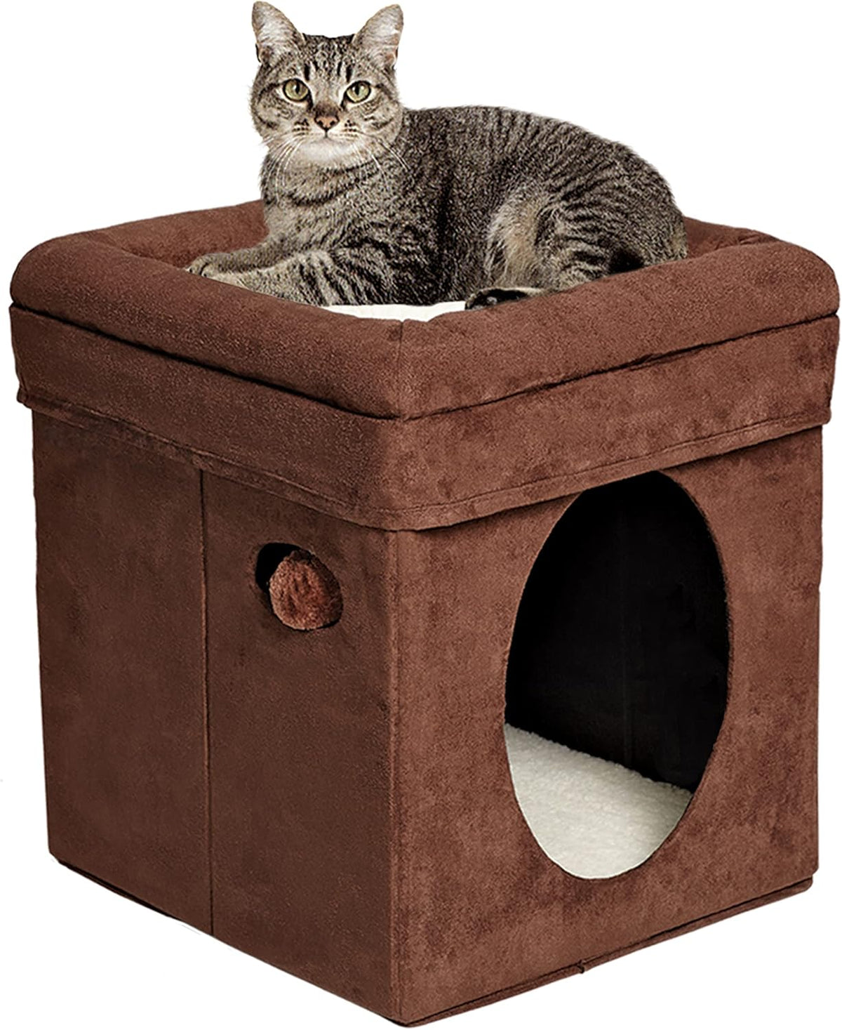 Midwest Feline Nuvo Curious Cat Cube, Foldable Hideout with Bolstered Bed