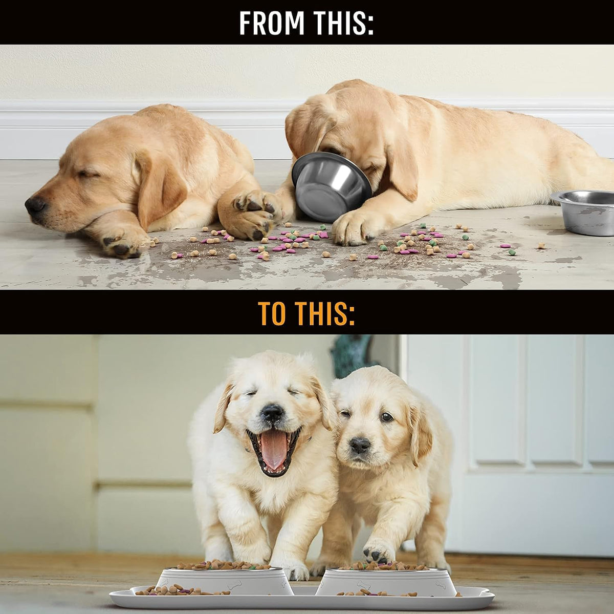 Stainless Steel No-Spill Dog Bowl Set with Silicone Mat