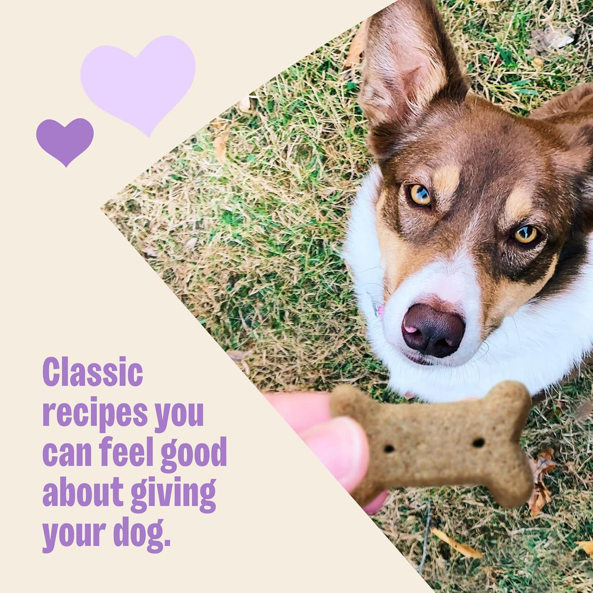 Natural Peanut Butter Dog Training Biscuits, 6 Lb Box