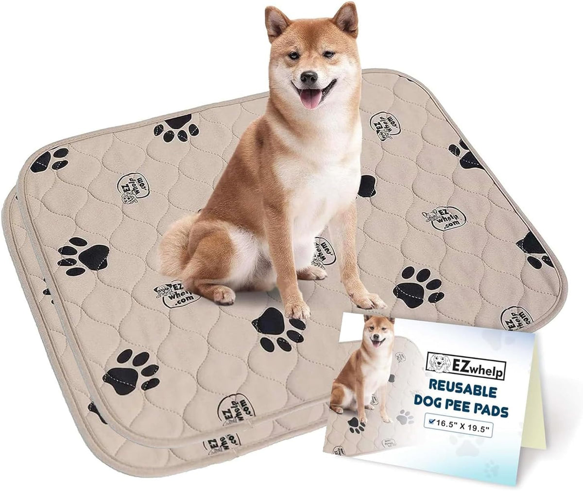 Reusable Washable Dog Pee Pads, 2-Pack