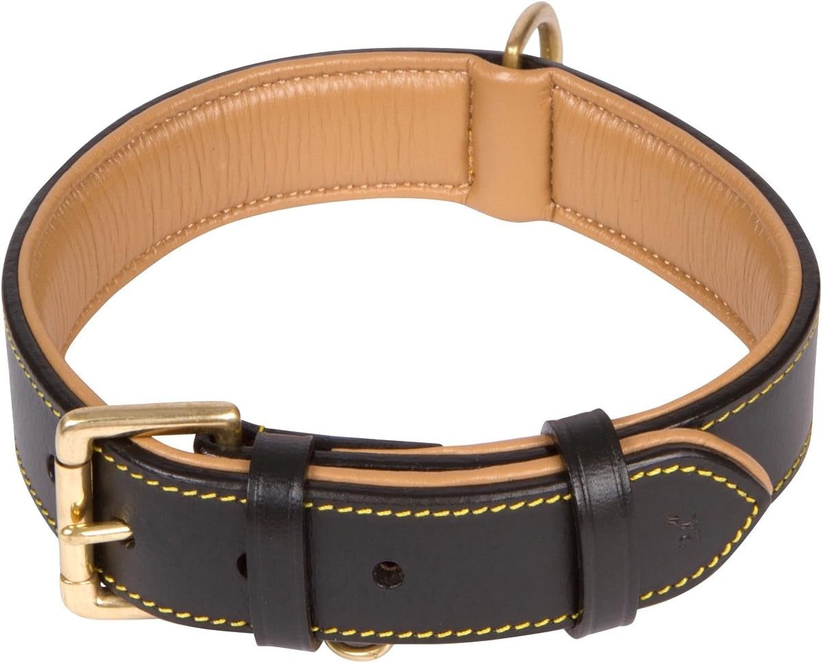 Padded Leather Dog Collar, Genuine Leather, Large