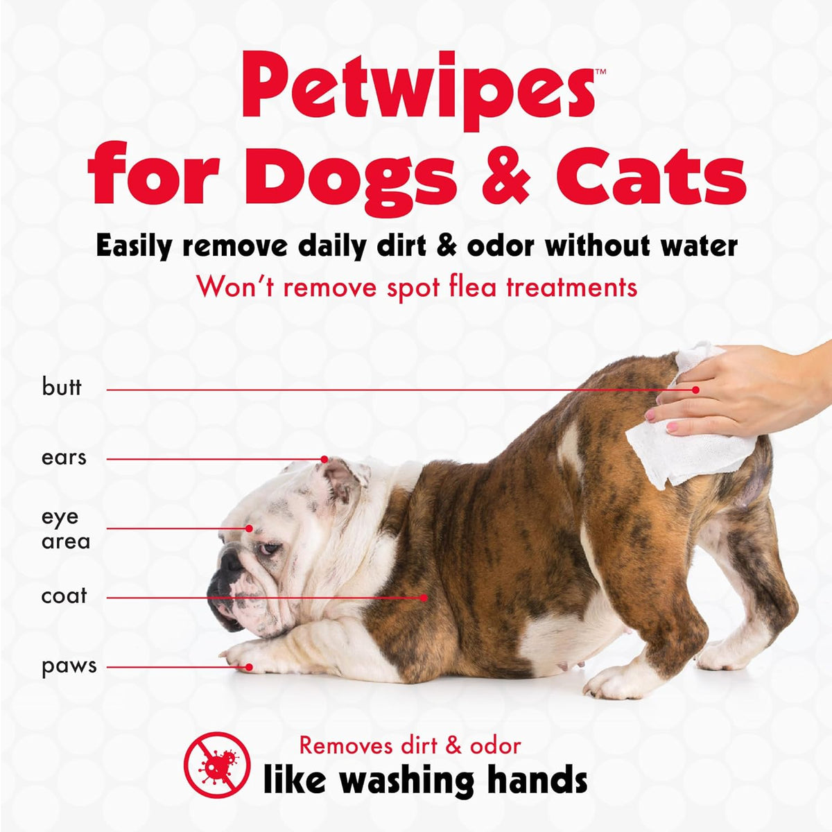 Large Pet Cleaning Wipes for Dogs & Cats, 100-Count