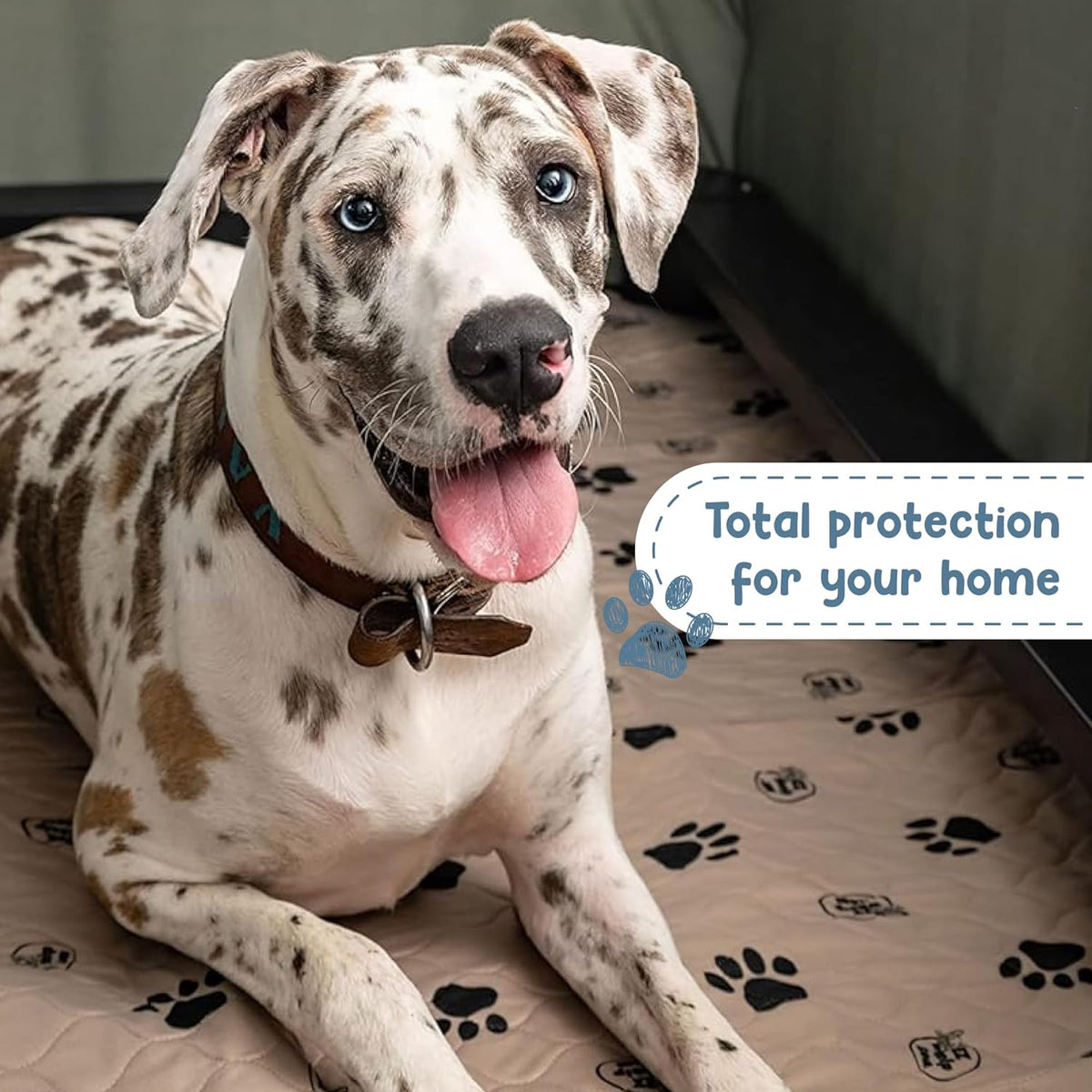 Reusable Washable Dog Pee Pads, 2-Pack