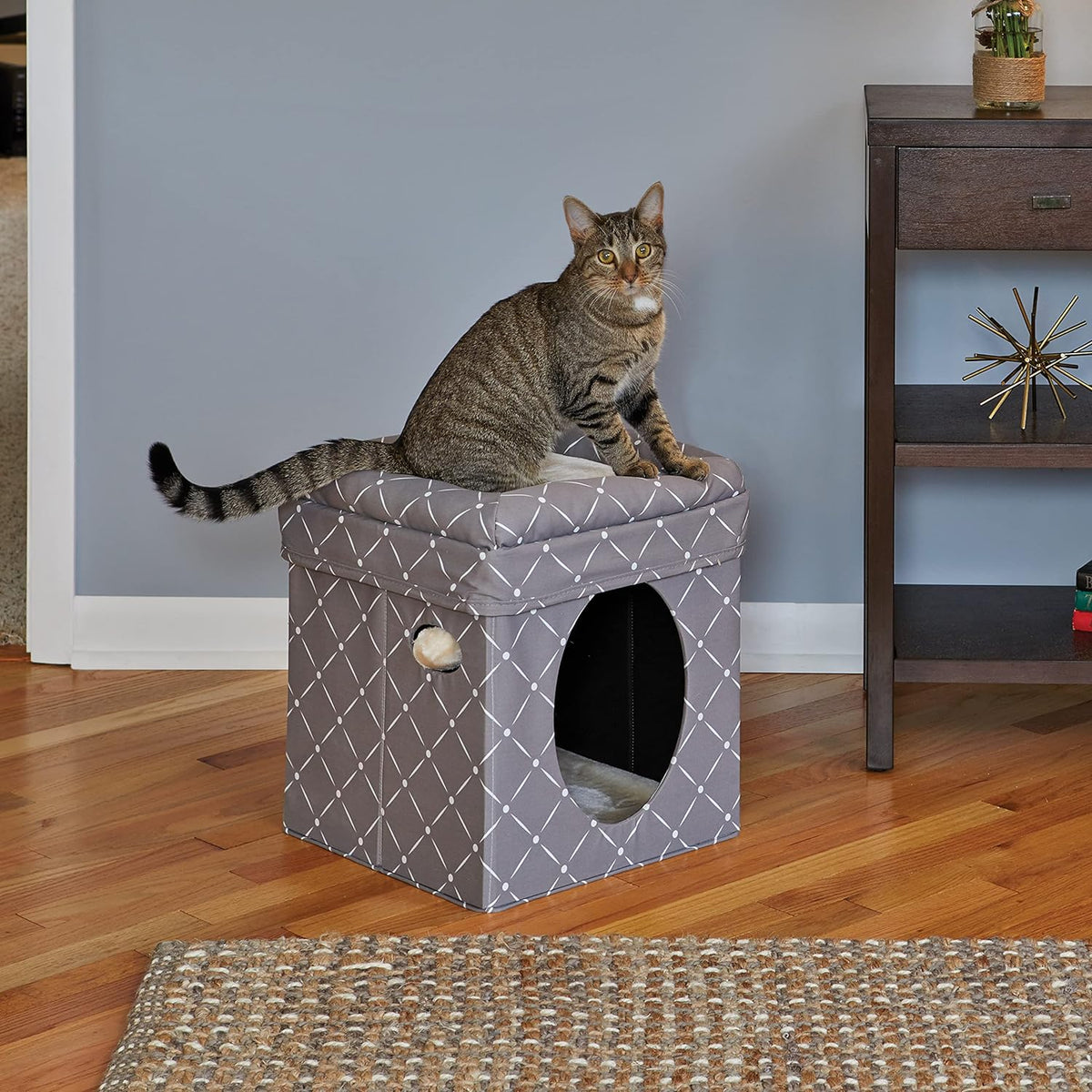 Midwest Feline Nuvo Curious Cat Cube, Foldable Hideout with Bolstered Bed