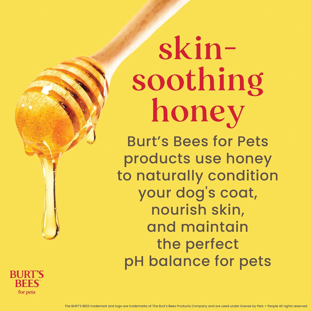 Burt'S Bees Honey Multipurpose Dog Grooming Wipes, 50-Count