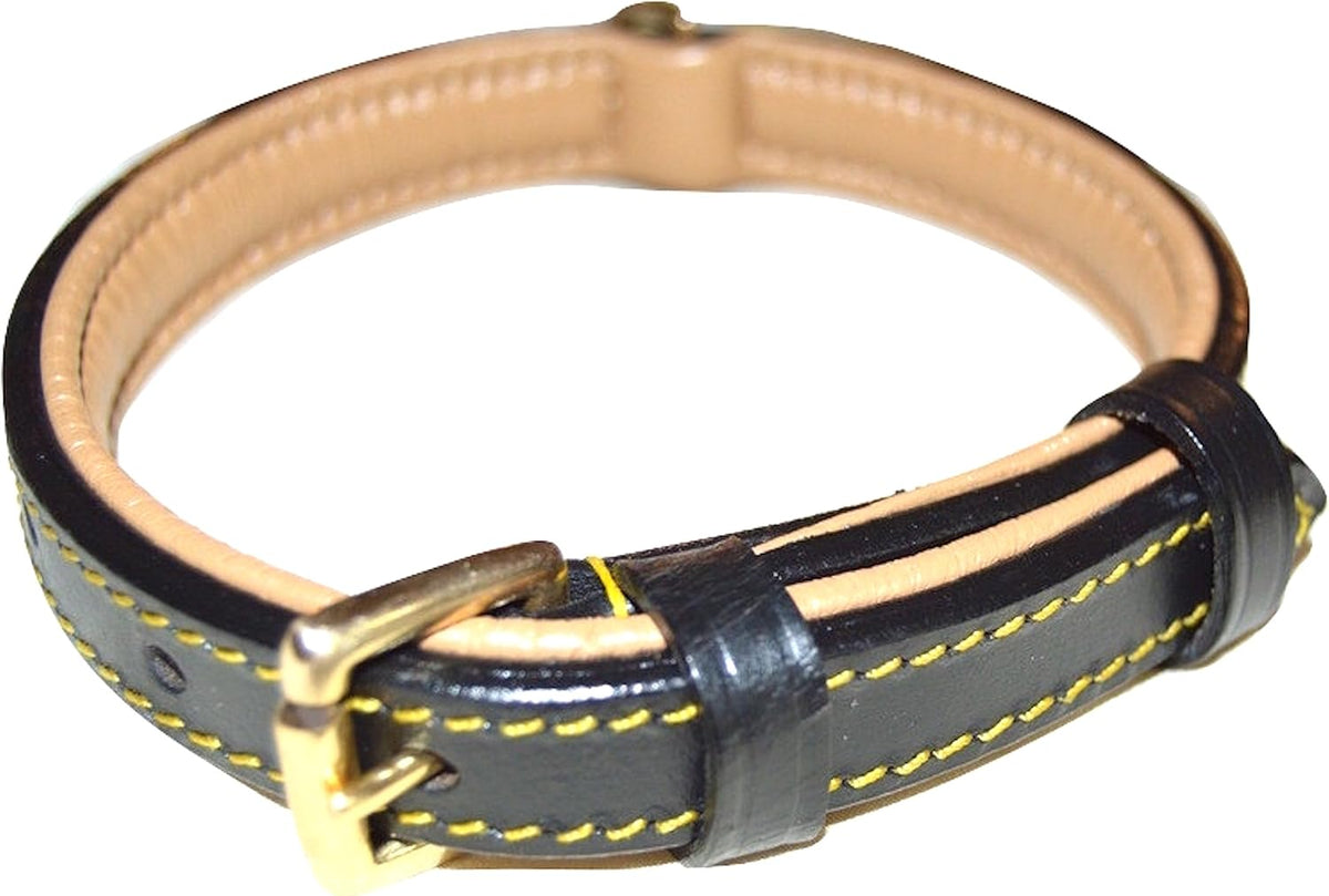 Padded Leather Dog Collar, Genuine Leather, Large