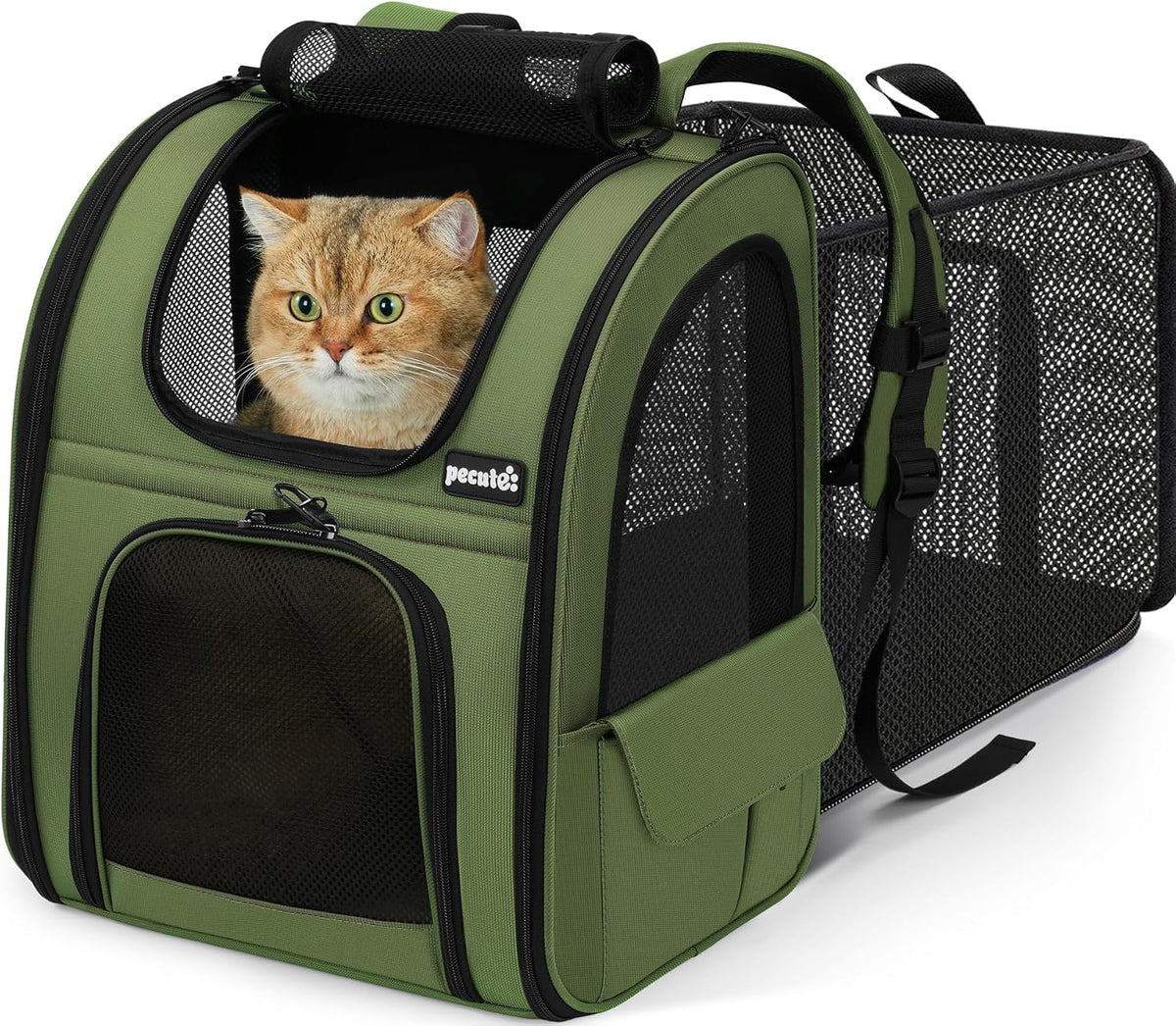 Expandable Cat Backpack Carrier with Breathable Window