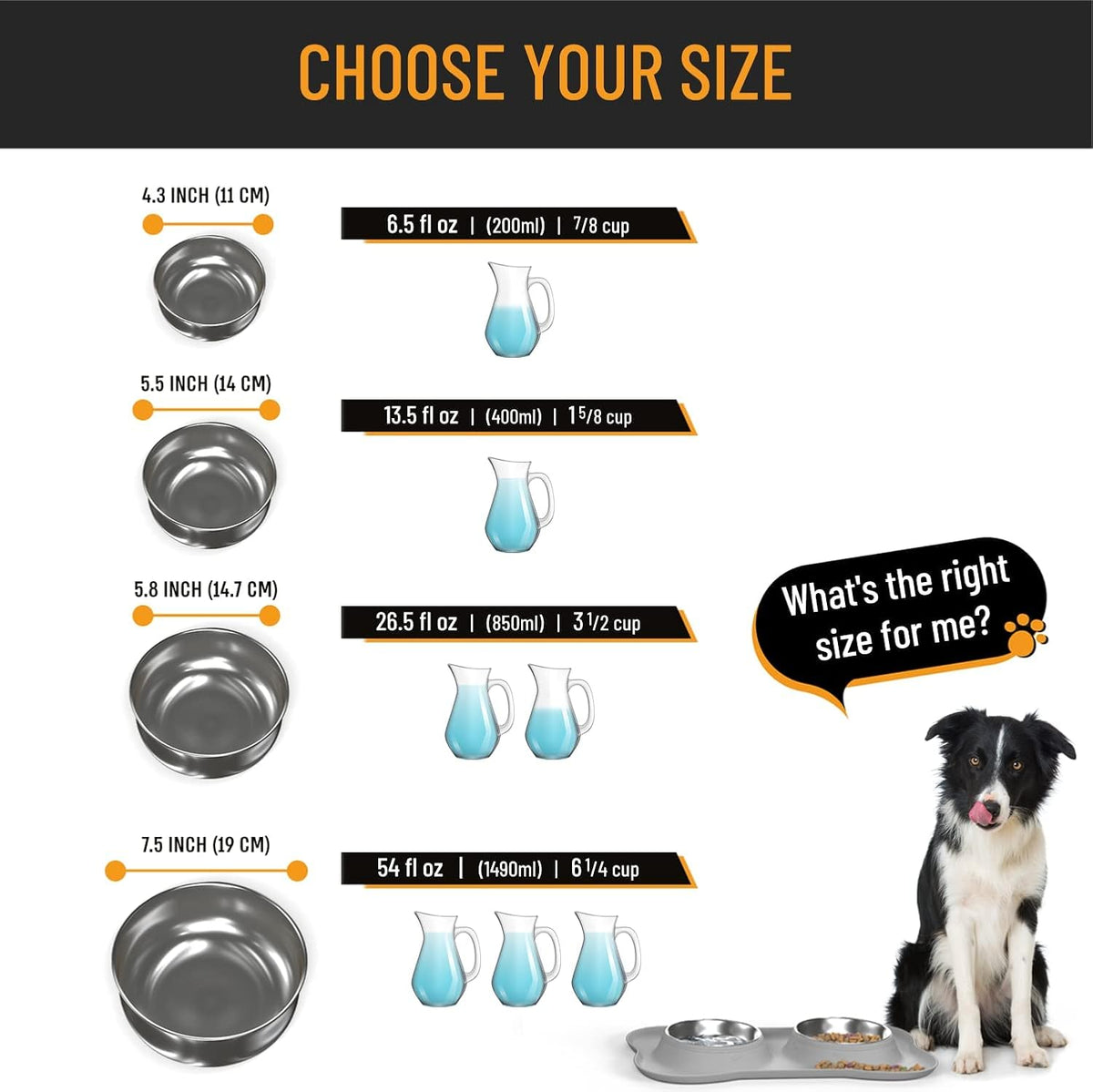 Stainless Steel No-Spill Dog Bowl Set with Silicone Mat