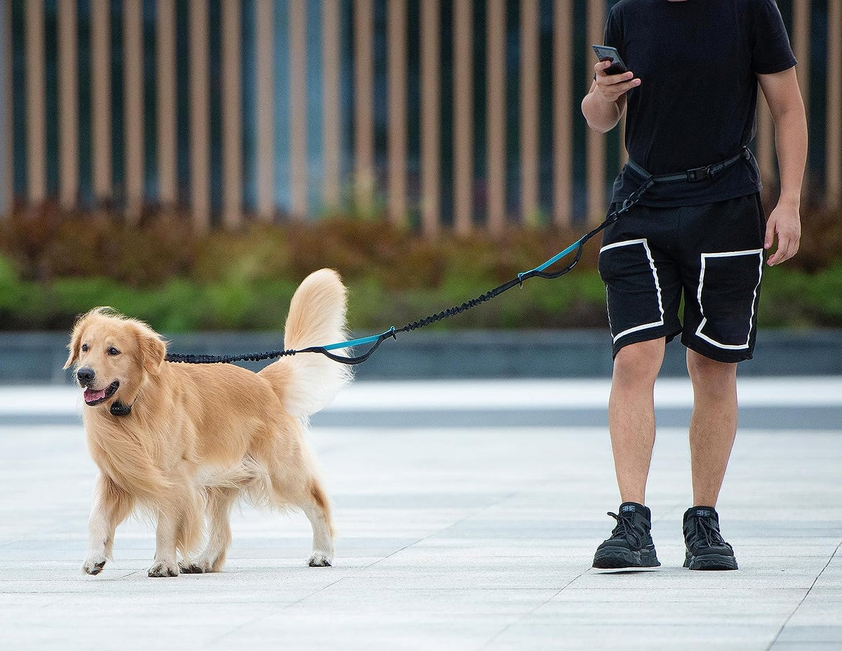 Iyoshop Hands Free Dog Leash with Zipper Pouch, Dual Padded Handles