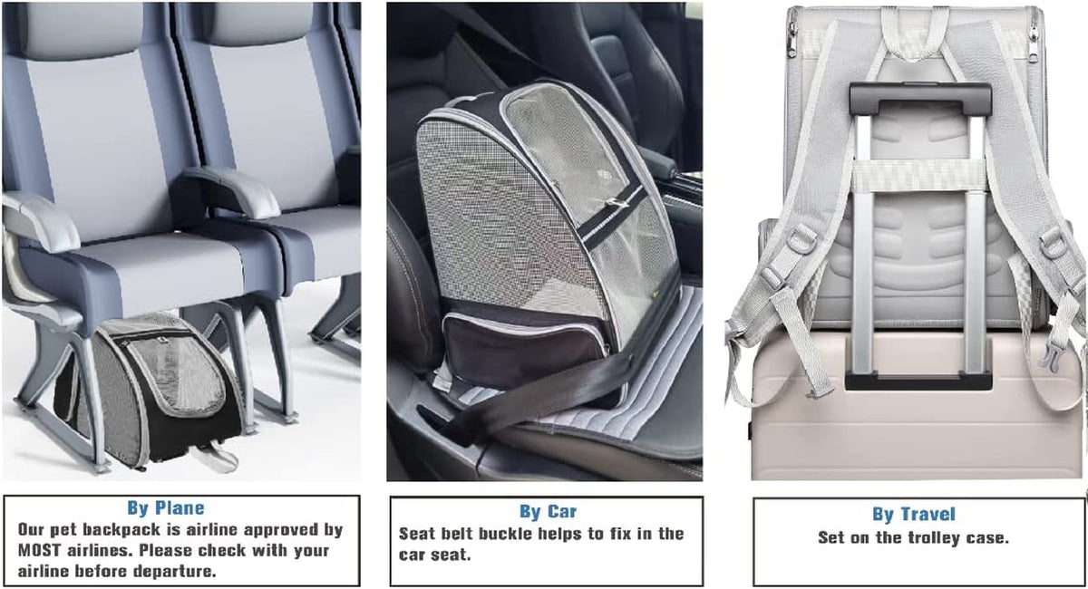 Innovative Traveler Bubble Backpack Pet Carriers for Cats and Dogs